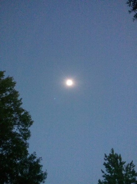 IMG_20170821_132056 (1)